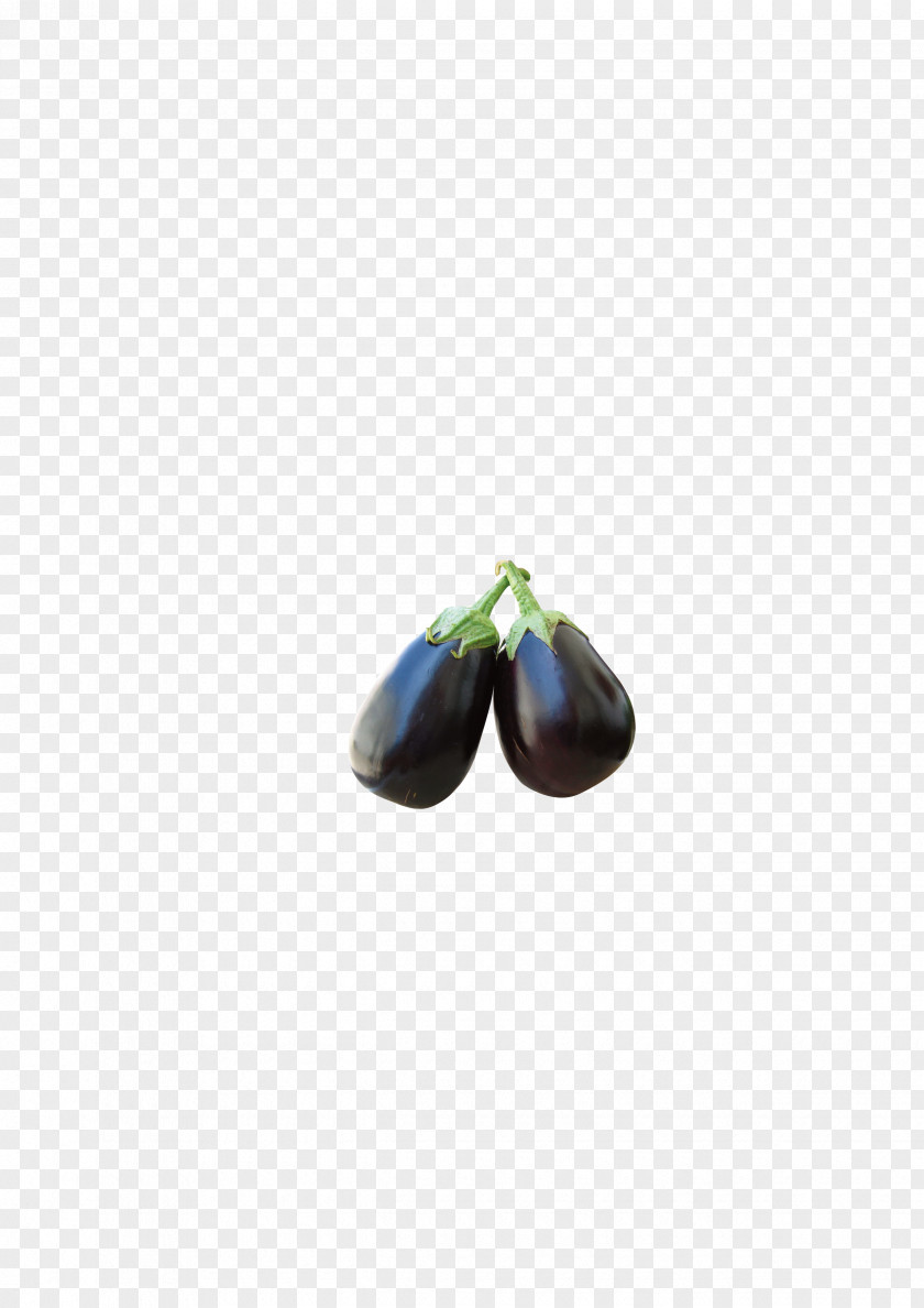 Purple Eggplant Vegetable Vecteur PNG