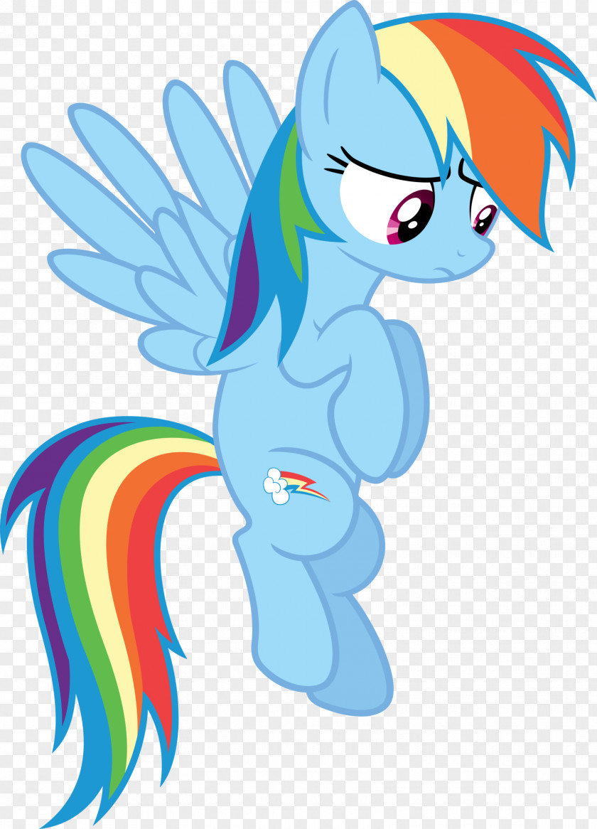 Rainbow Dash Applejack My Little Pony PNG