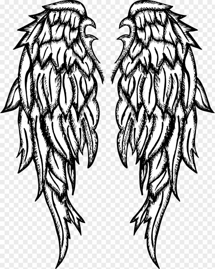 Vector Painted Wings Drawing Angel Clip Art PNG