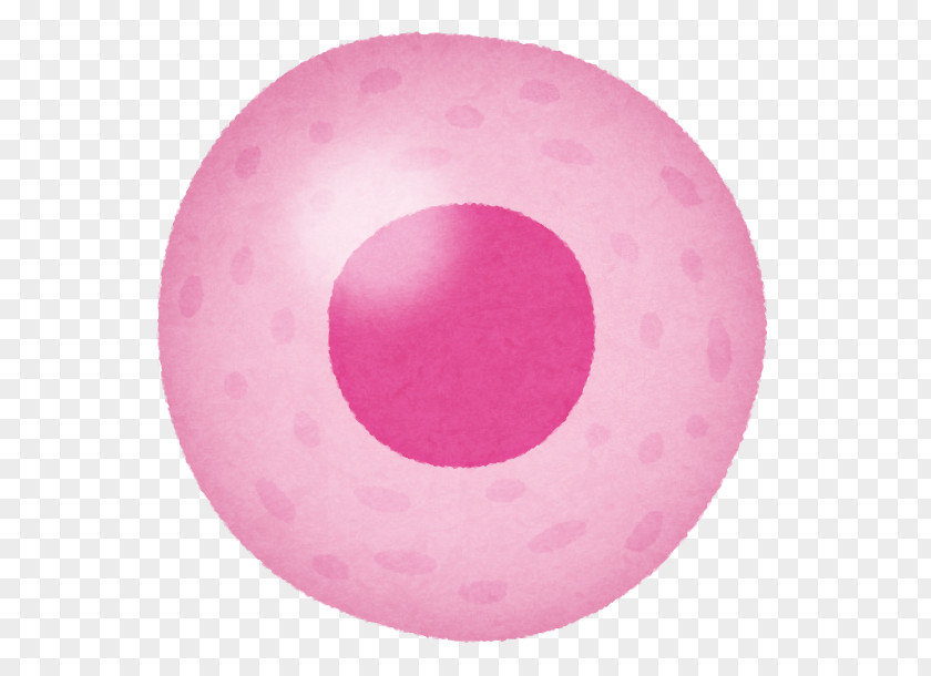 Body Cell Pink M PNG