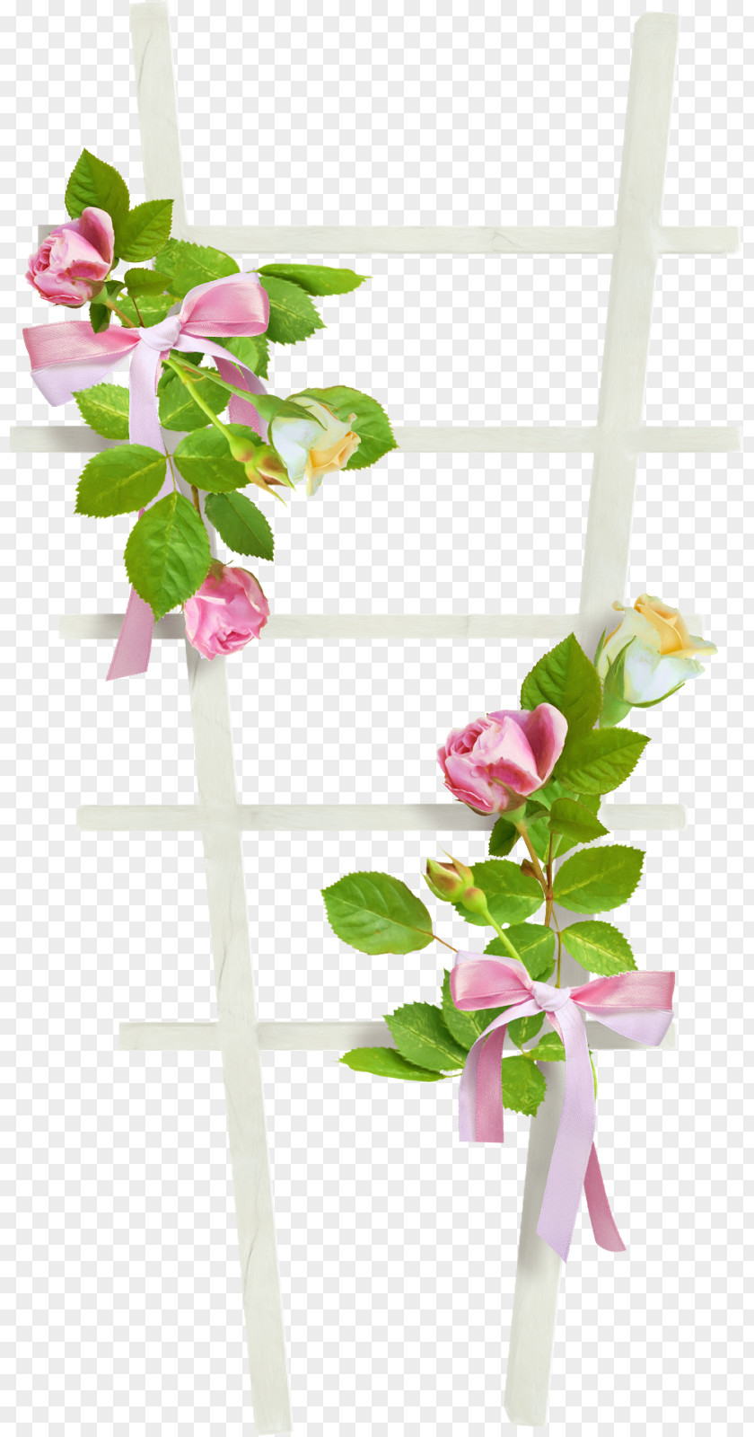 Flower Garden Roses Clip Art PNG