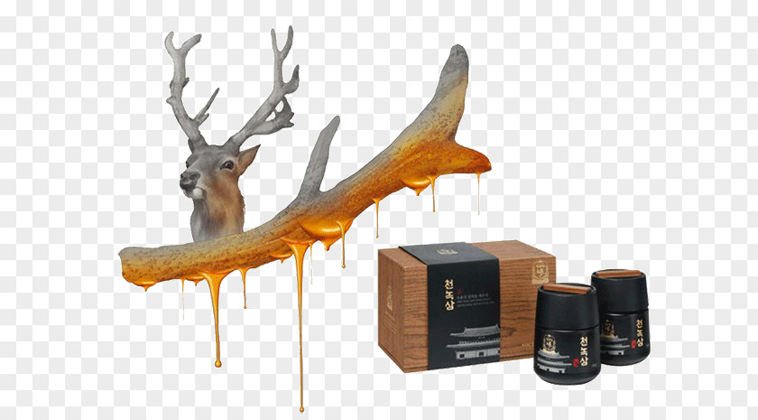 Ginseng Antler Velvet Red Deer PNG