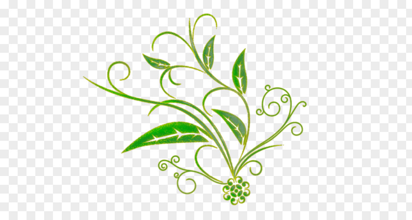 Stem Plant Clip Art Vector Graphics Image Floral Design PNG