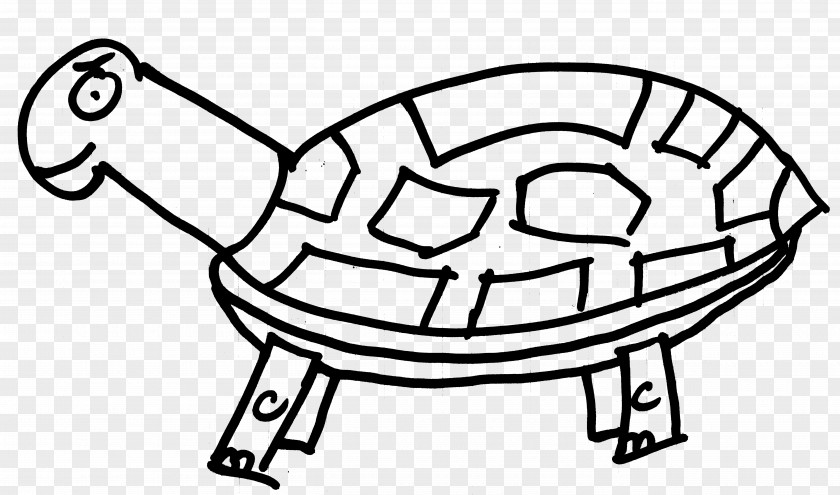 Turtle Tortoise H&M Line Clip Art PNG