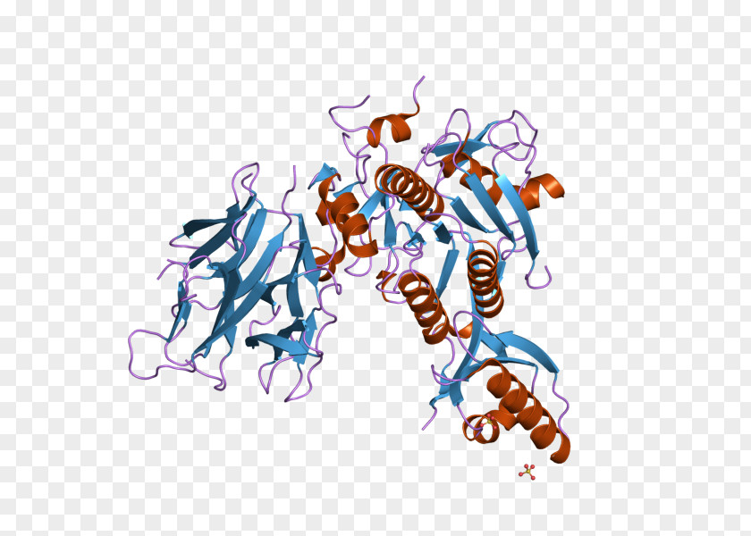 Alirocumab PCSK9 Evolocumab Proprotein Convertase Structure PNG