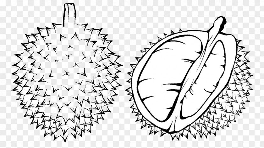 Durian Coloring Book Black And White Child Clip Art PNG