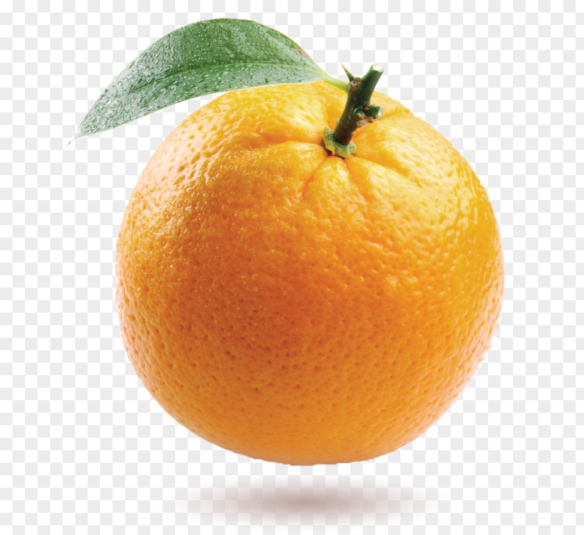 Orange Chicken Fruit Mandarin Desktop Wallpaper PNG