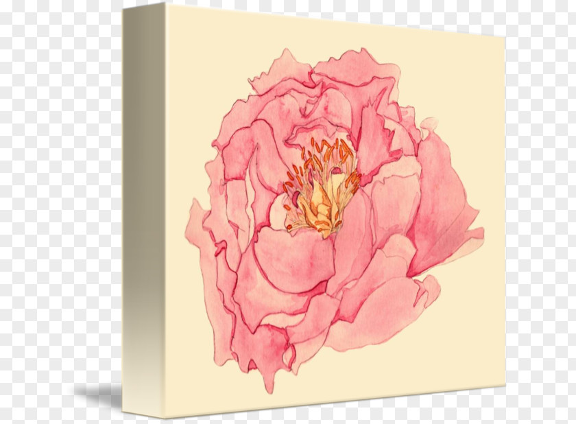 Subshrubby Peony Flower Garden Roses Floral Design Tulips In A Vase PNG