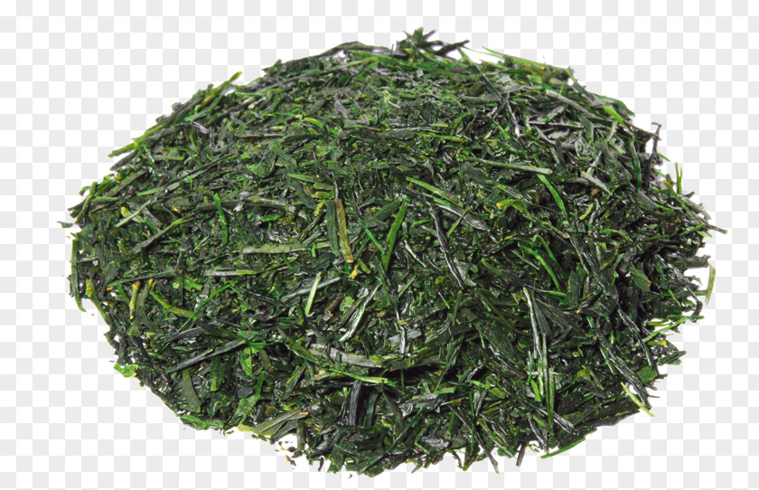 Tea White Gyokuro Green Parsley PNG