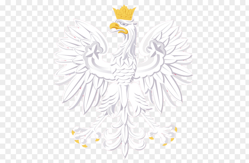 Eagle Coat Of Arms Poland Flag PNG