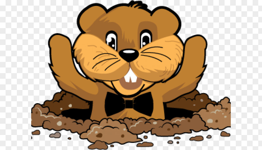 Groundhog Day Animal Figure Beaver Cartoon PNG