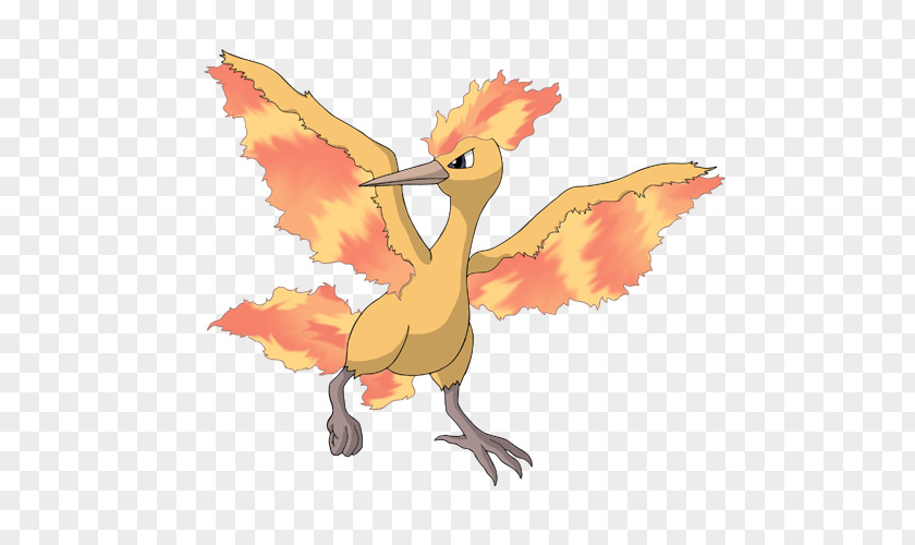 Moltres Pokémon X And Y Zapdos Entei PNG