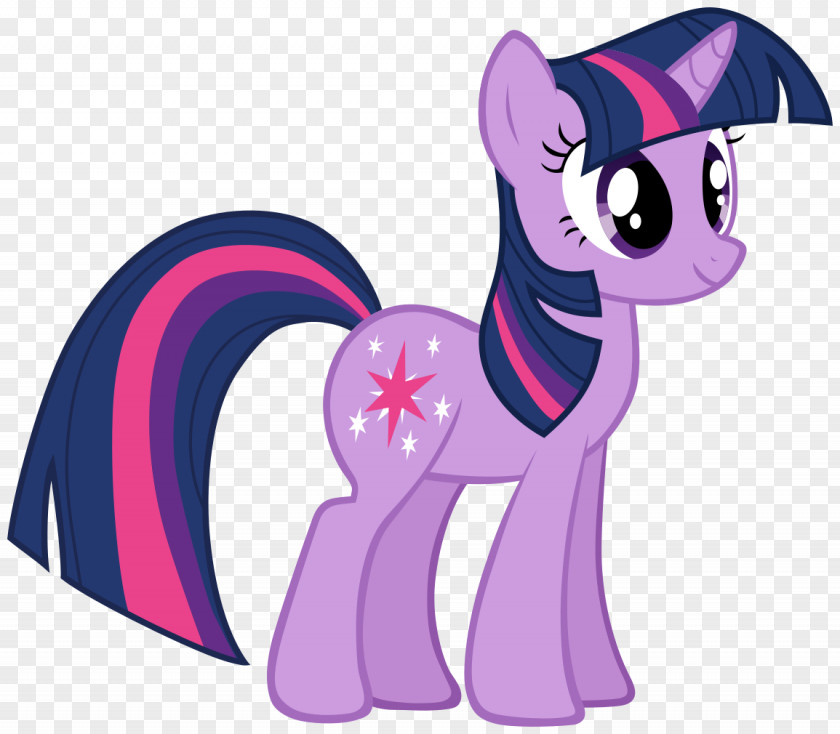 My Little Pony Twilight Sparkle Rarity Pinkie Pie PNG