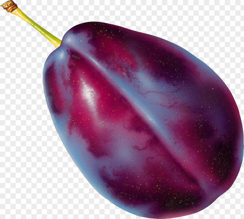 Plum PNG clipart PNG
