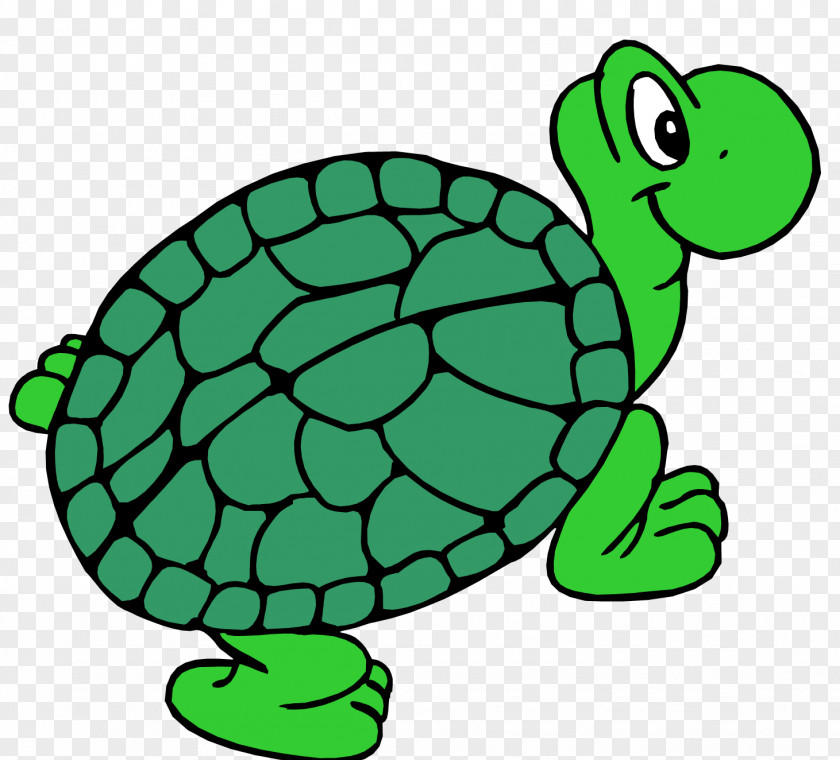 Turtle Animation Cartoon Clip Art PNG