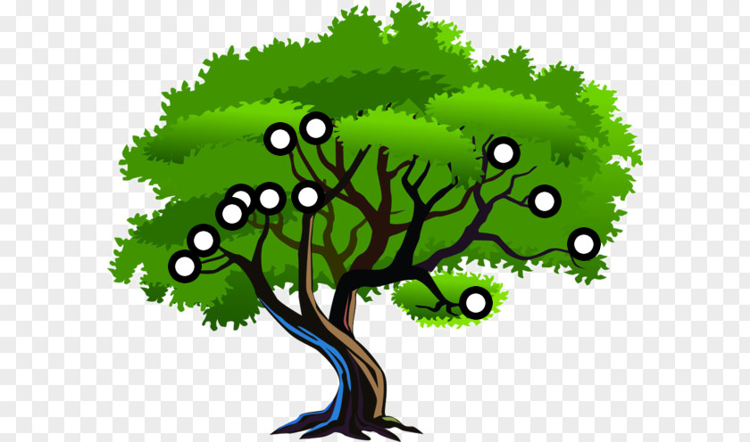 Birch Tree Clipart Vector Graphics Clip Art Image Nature Landscape PNG