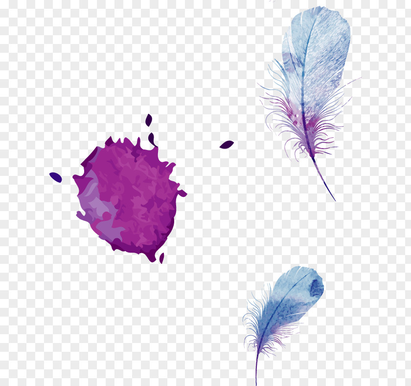 Blue Watercolor Feather Vector Creative Painting PNG