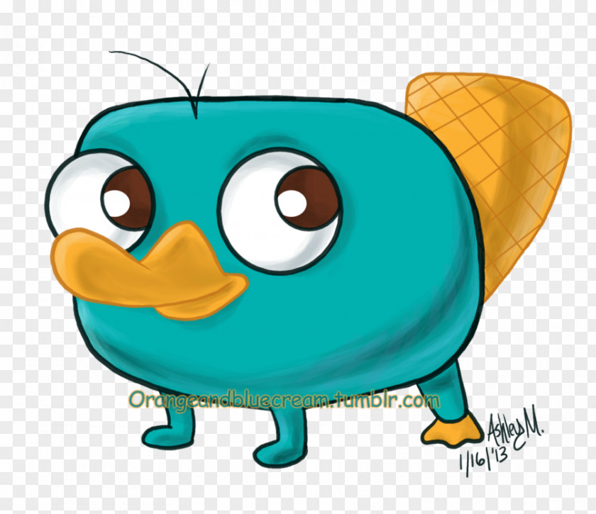 Cute Pictures Of Platypuses Perry The Platypus Echidna Clip Art PNG