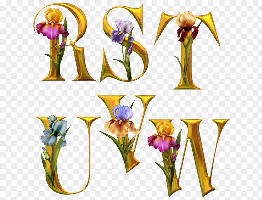 Flower Fancy Alphabets Letter Floral Design PNG
