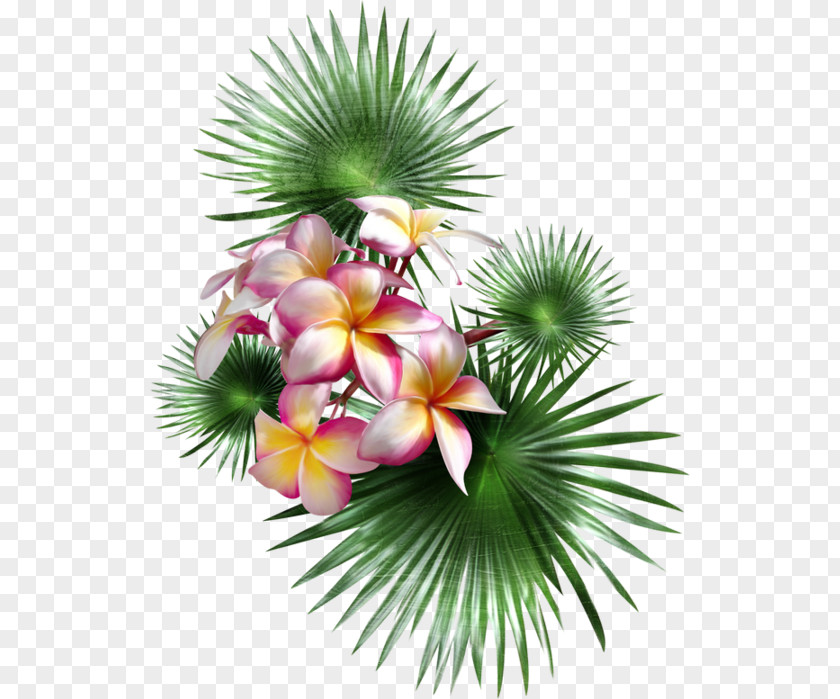 Palm Trees Flower Petal Painting PNG