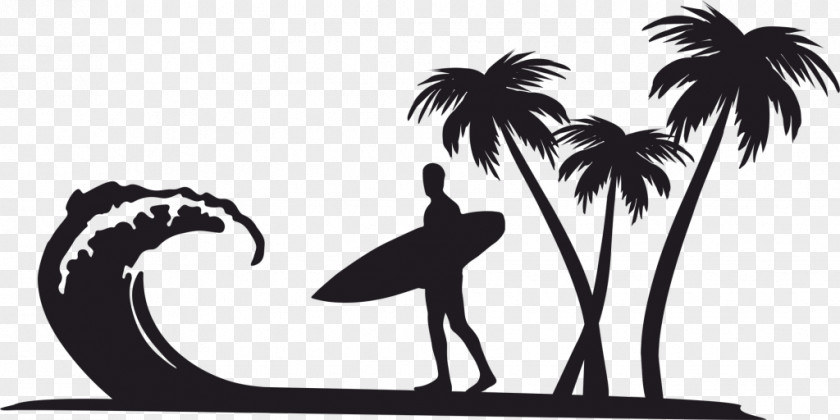 Wind Wave Arecaceae Surfing Clip Art PNG