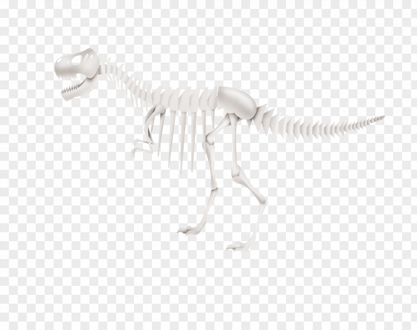 Dinosaur Skeleton White Black Pattern PNG