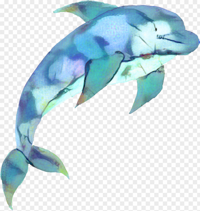 Dolphin Poster Watercolor Painting Graphics Drawing PNG