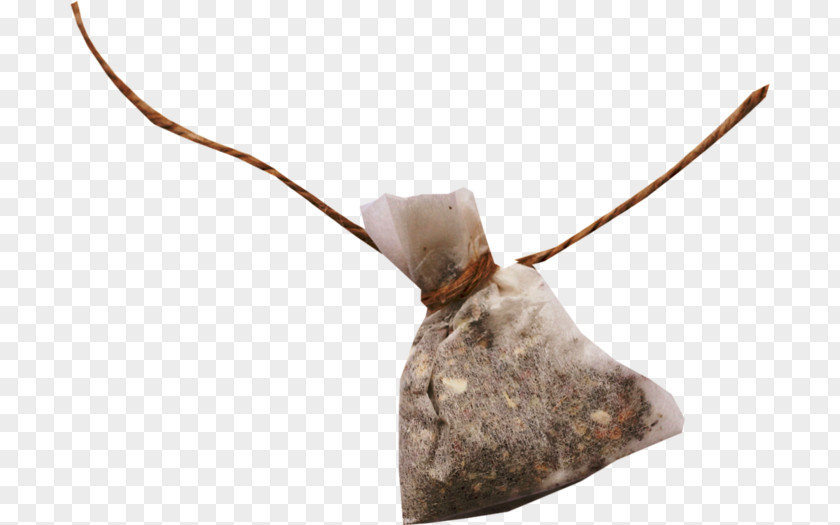 Tea Bag PNG