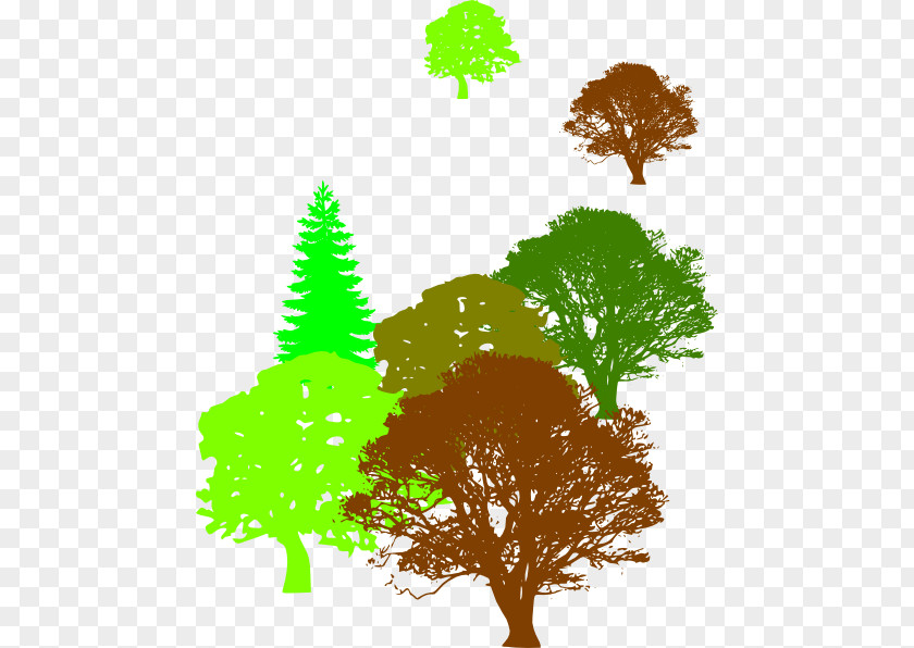 Tree Desktop Wallpaper Clip Art PNG