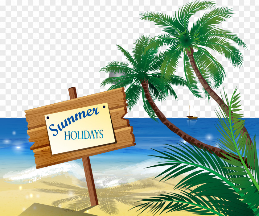 Vector Beach Sand Illustration PNG