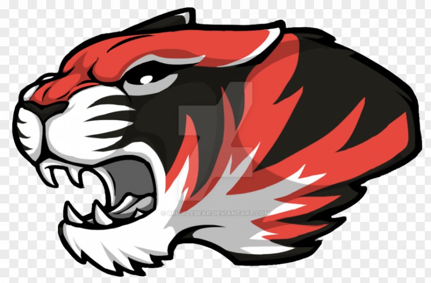 Bear Mascot Tiger Cat Clip Art PNG