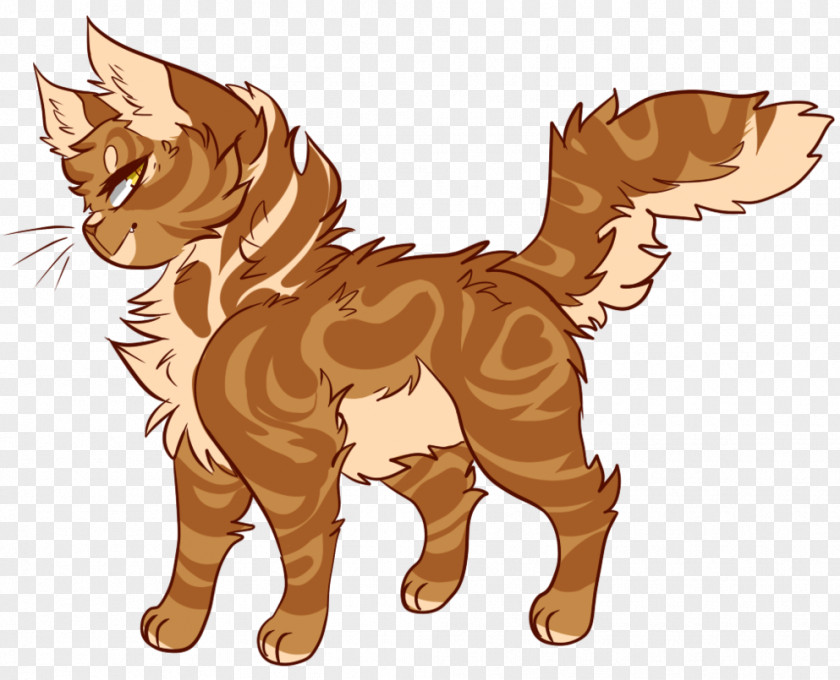 Cat Whiskers Drawing Warriors Hawk PNG