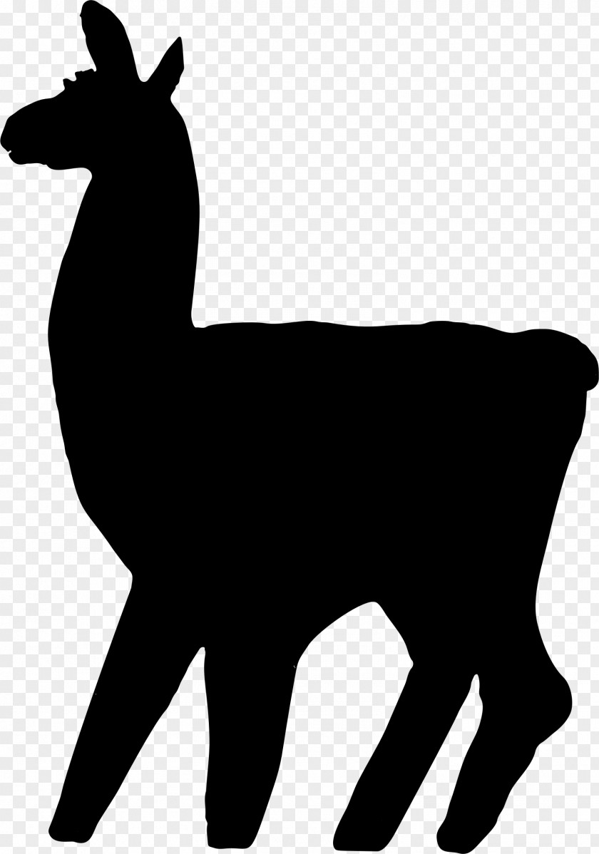 Deer Blackandwhite Llama Cartoon PNG