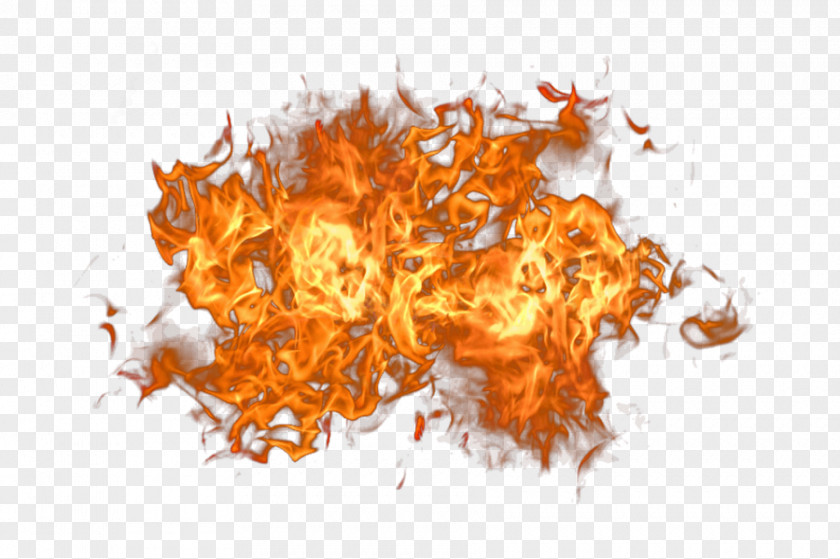 Fire Image PNG