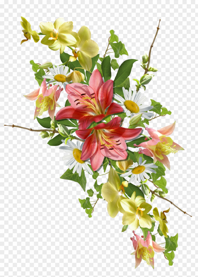 Floral Cut Flowers Design PNG