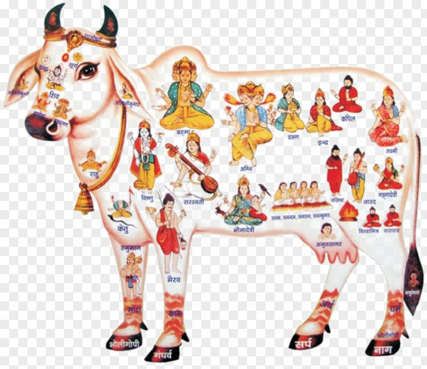 Krishna Cattle In Religion And Mythology Kamadhenu God PNG
