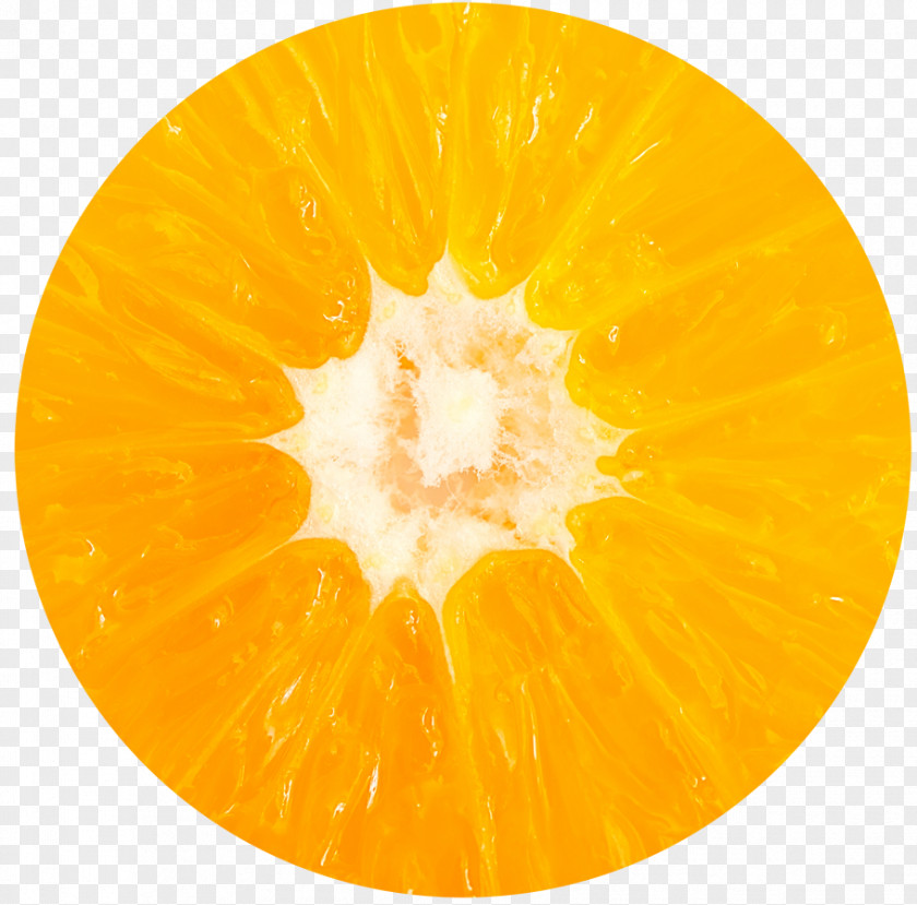 Orange Sa Clementine Stock Photography Royalty-free Mandarin PNG