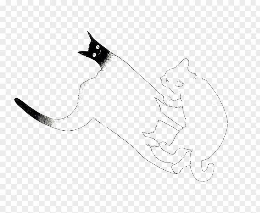 Simple White Cat Whiskers Kitten Illustration PNG
