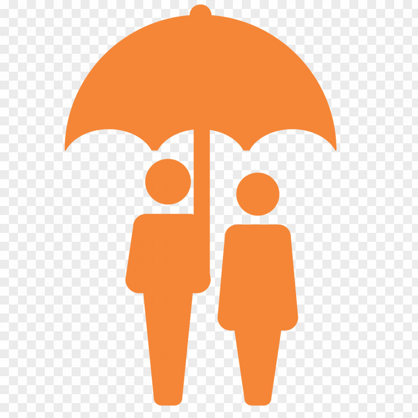 Term Life Insurance United India Assurer PNG