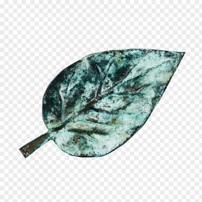 Leaf Turquoise PNG