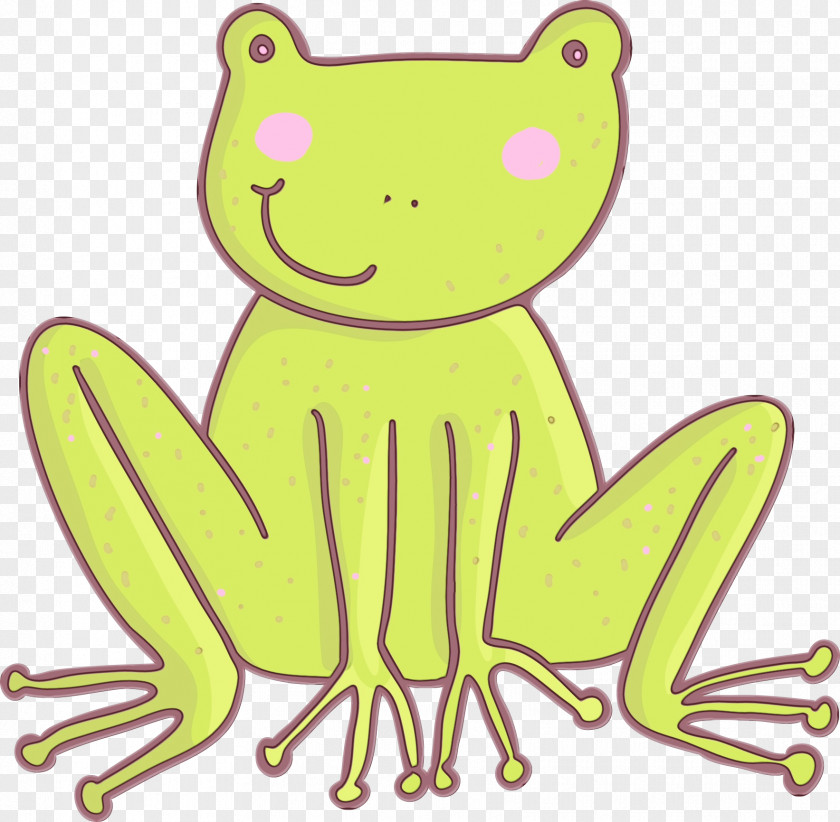 Line Art Hyla Cartoon Tree Frog Yellow Shrub PNG