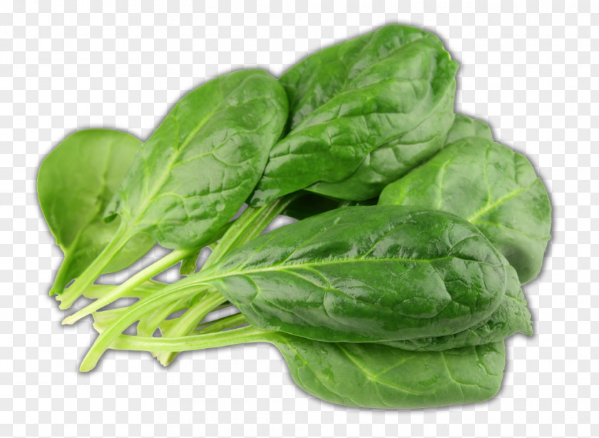 Spinach Vegetable Juice Leaf Eating PNG