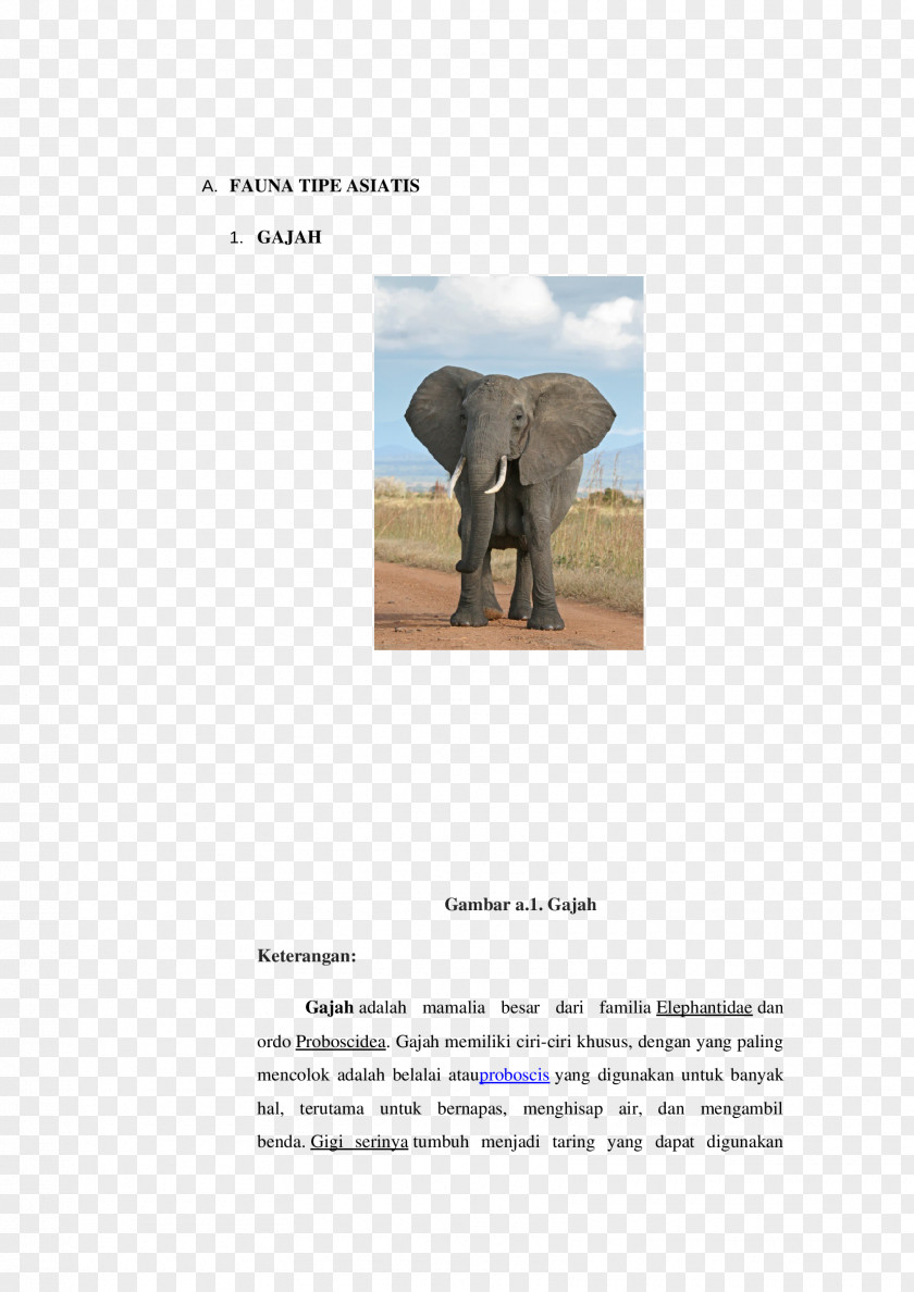 Tipe Indian Elephant African Atomic Nucleus Conceptual Physics Surface-area-to-volume Ratio PNG