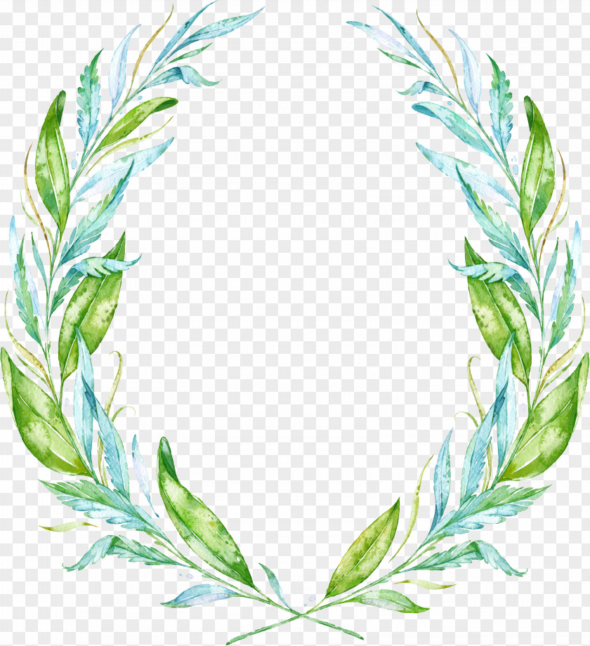 Tree Ring Leaf Watercolor Painting Wreath Drawing PNG