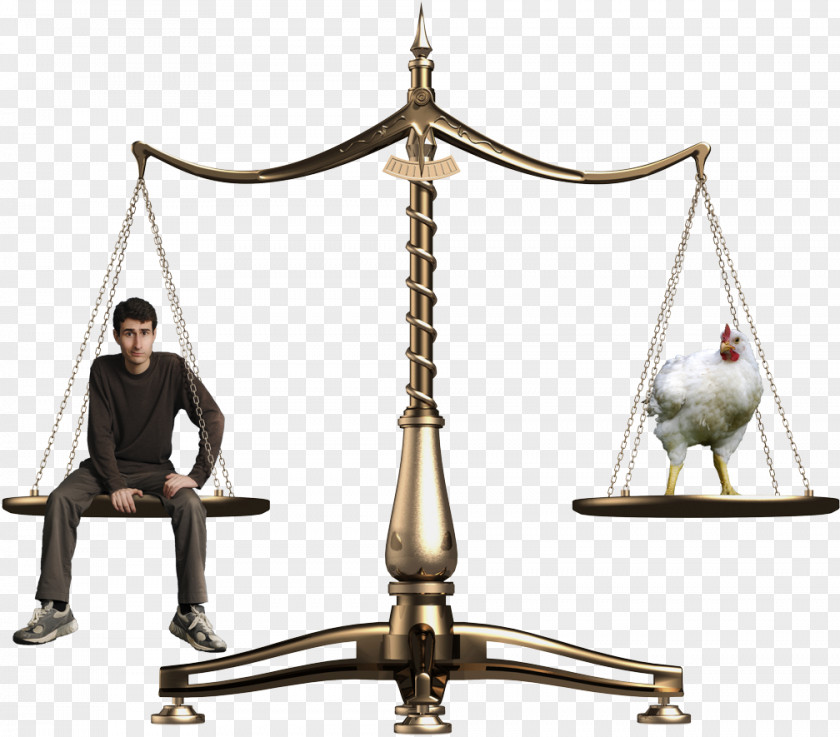 Weight Scale Justice Measuring Scales Respect Inlay Film PNG
