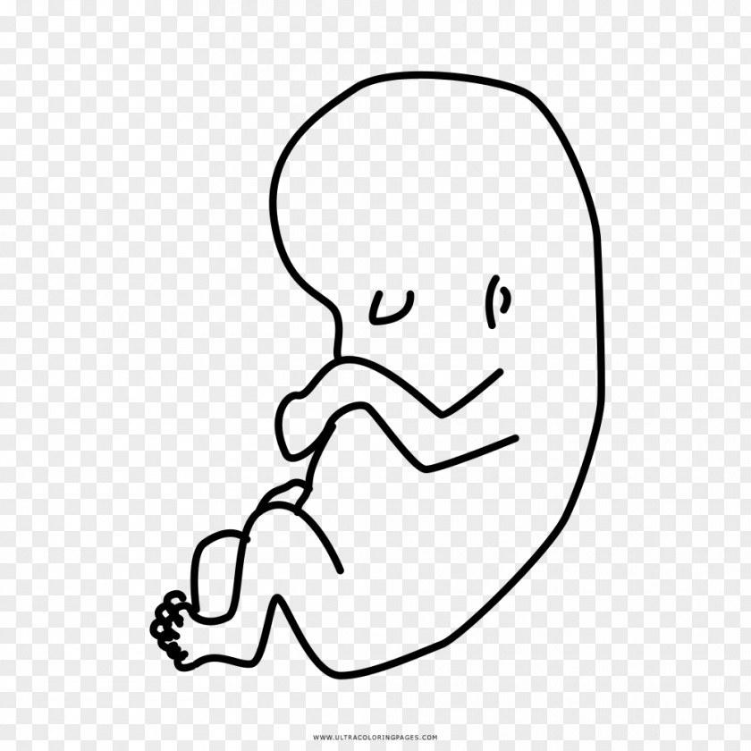 Child Drawing Coloring Book Thumb Fetus PNG