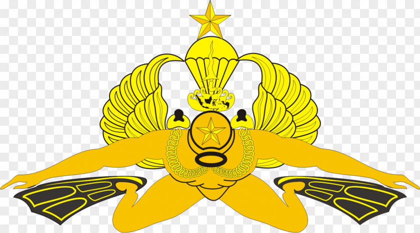 Korps Marinir Taifib Indonesian Marine Corps Batalyon Intai Amfibi 1/Marinir Marines National Armed Forces PNG