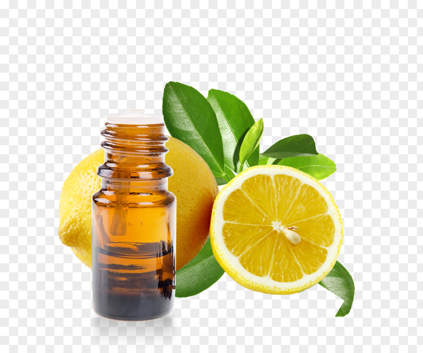 Millet Essential Oil Huile Essentielle De Citron Lemon Ravensara Aromatica PNG