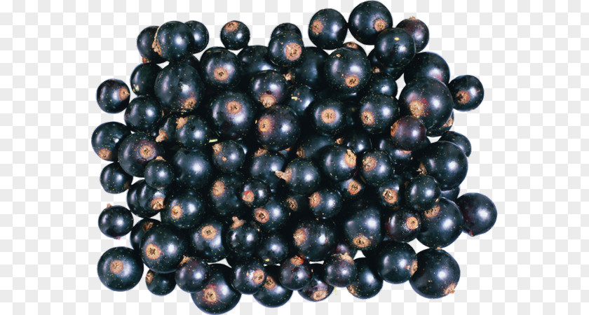 Blackcurrant Huckleberry Zante Currant Bilberry Blueberry Juniper Berry PNG
