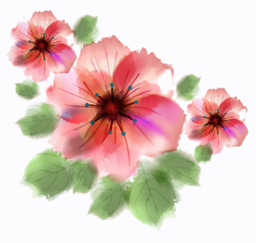 Painting Watercolour Flowers Watercolor Floral Design PNG